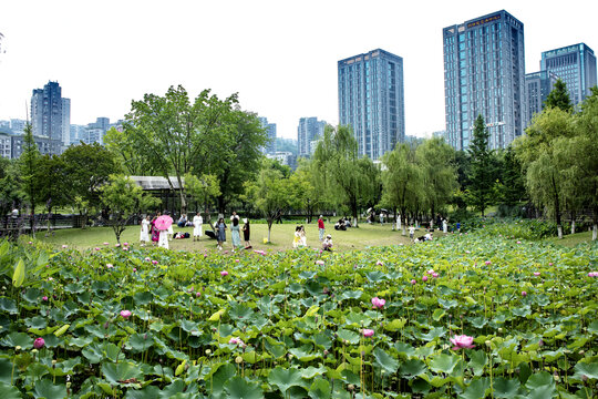 城市湿地公园