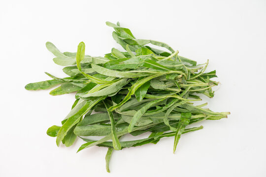 野菜苦苣菜
