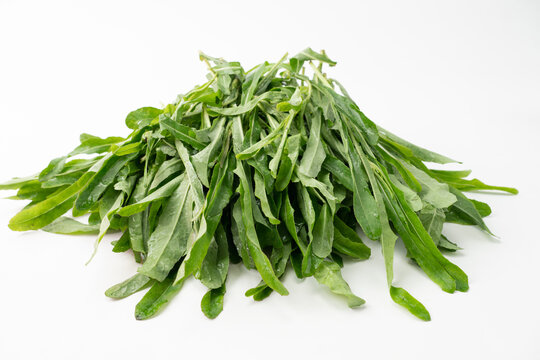 野菜苦苣菜