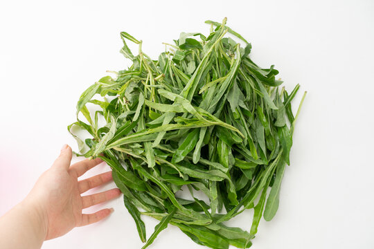 野菜苦苣菜