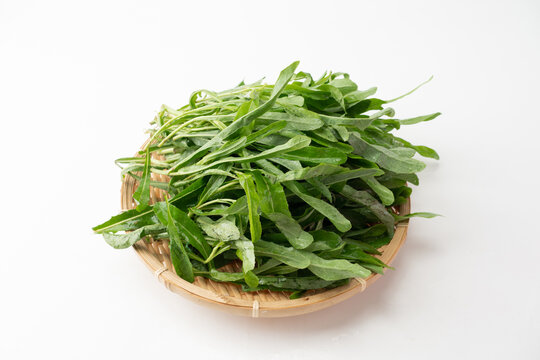 野菜苦苣菜