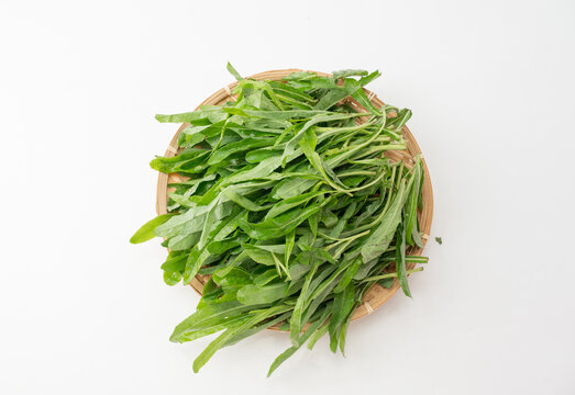 野菜苦苣菜