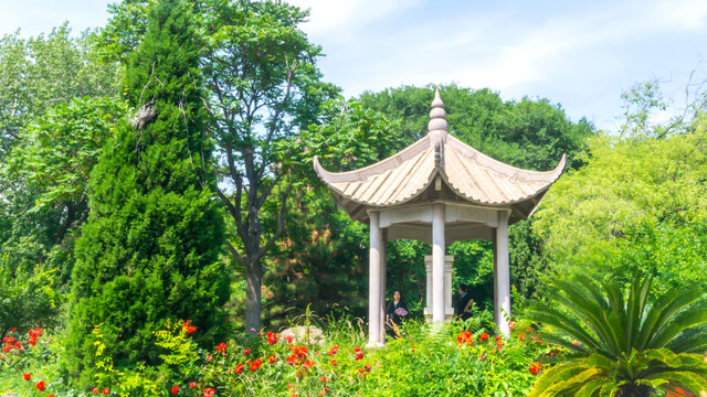 老龙头风景