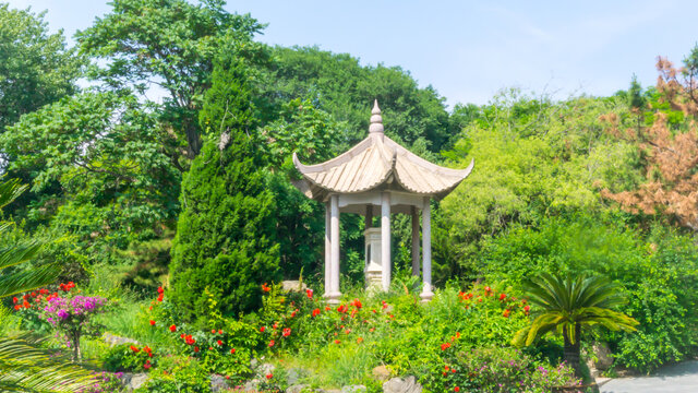 老龙头风景