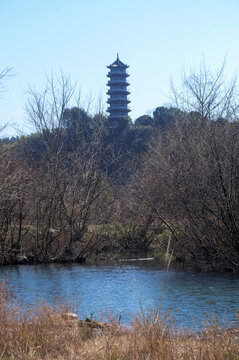 冬季溪边风光