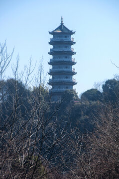 宝塔风景
