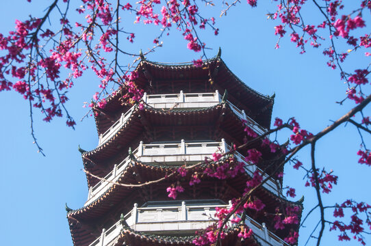 光泽洪光塔掠影