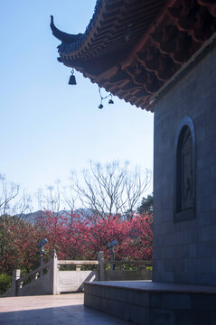 卧牛山公园