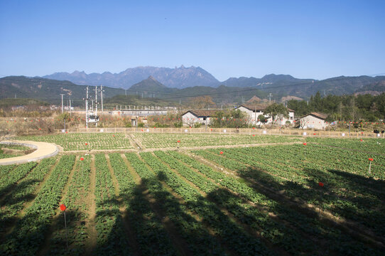 福建农村光泽十里铺