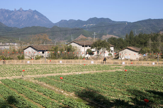 光泽十里铺