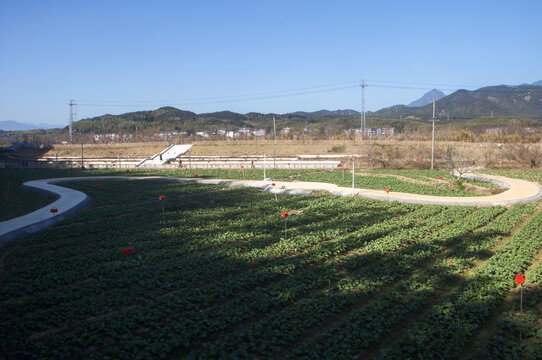 光泽十里铺村农田风光