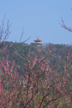 光泽九龙峰春日景色