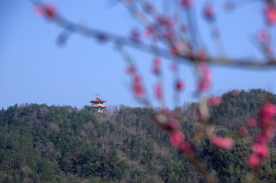 南平光泽九龙峰春色