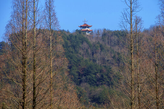 光泽景点九龙峰森林公园