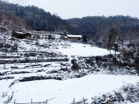下雪啦