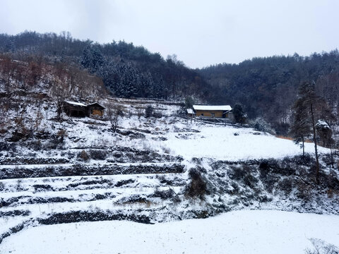 白雪皑皑
