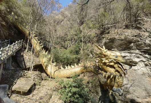 一条龙