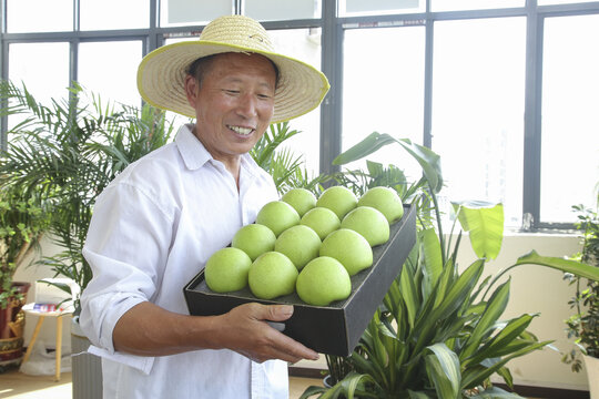青皇冠梨