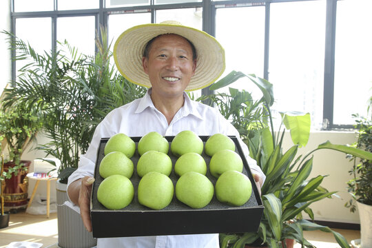 青皇冠梨