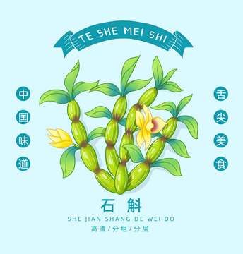 石斛插画手绘