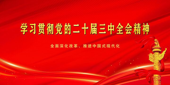 学习贯彻党的二十届三中全会精神