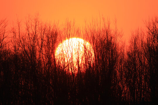 夕阳