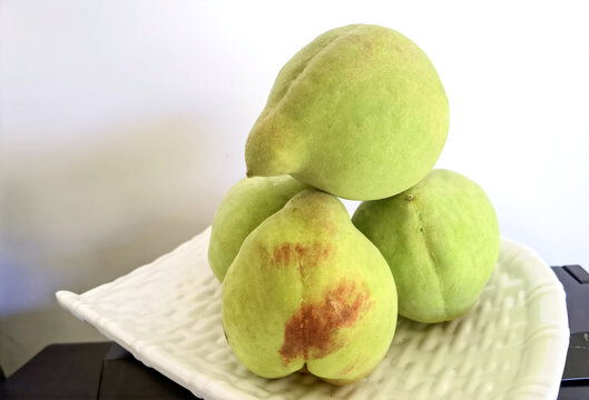 鹰嘴桃