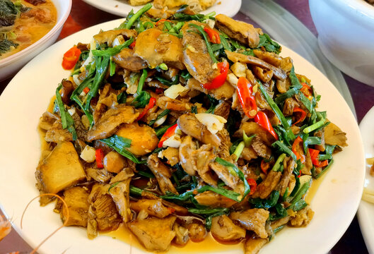 谷熟菌
