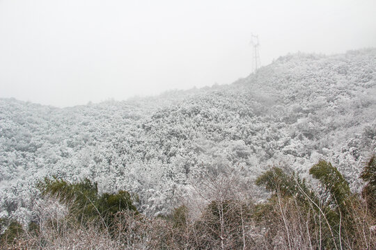 矿野雪山