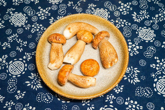 美味牛肝菌