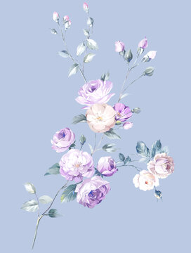 手绘玫瑰花