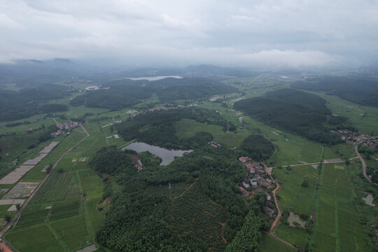乡村振兴