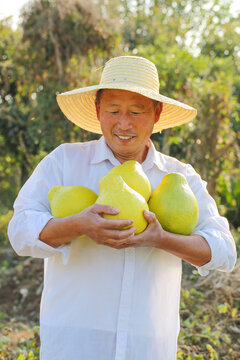 沙田柚