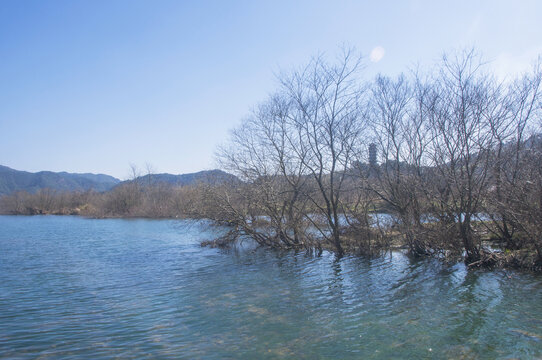 富屯溪河流景色