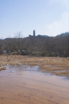冬季小溪边