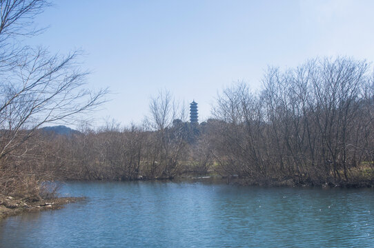 富屯溪小溪边风光