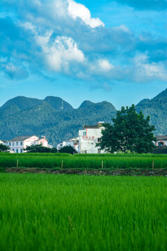 万峰林