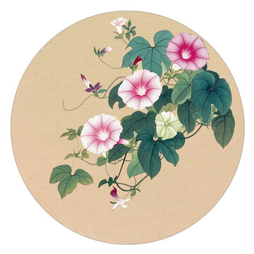 牵牛花工笔画海报素材