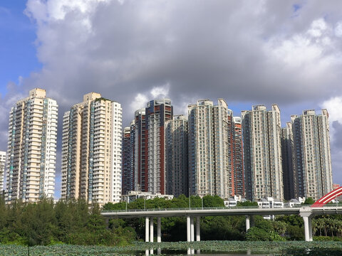 高楼大厦