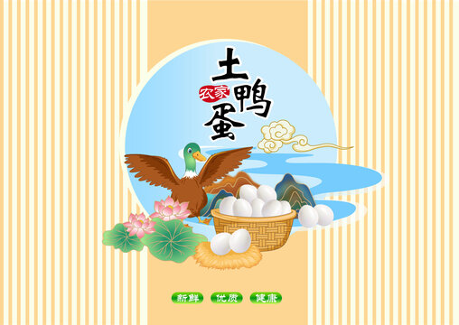 鸭蛋包装矢量插画