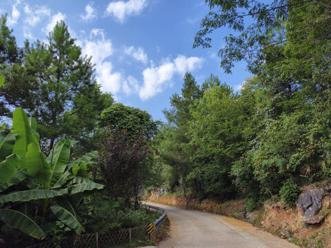 大山里的公路