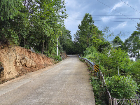 森林里的公路