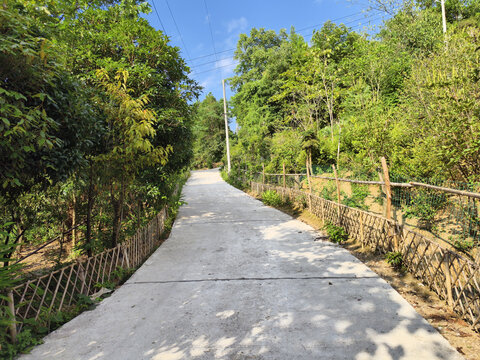 公路与竹篱笆