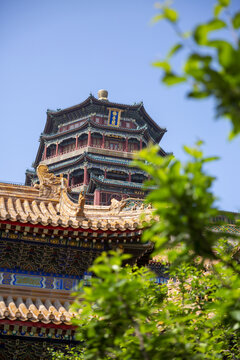 夏季的颐和园佛香阁