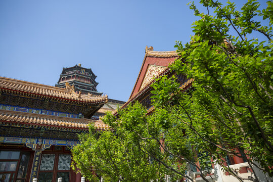 远眺佛香阁