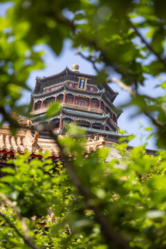 颐和园佛香阁
