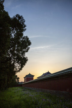 夕阳下的天坛公园
