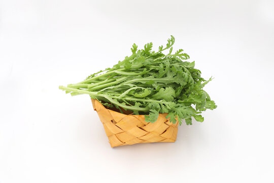 小叶茼蒿