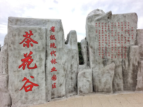 荣县茶花谷