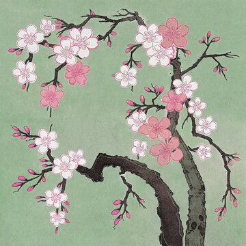 国画梅花分层素材